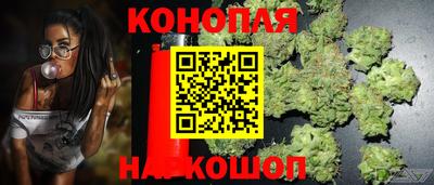 марки lsd Новозыбков
