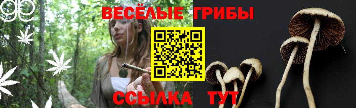 Псилоцибиновые грибы мухоморы Тобольск